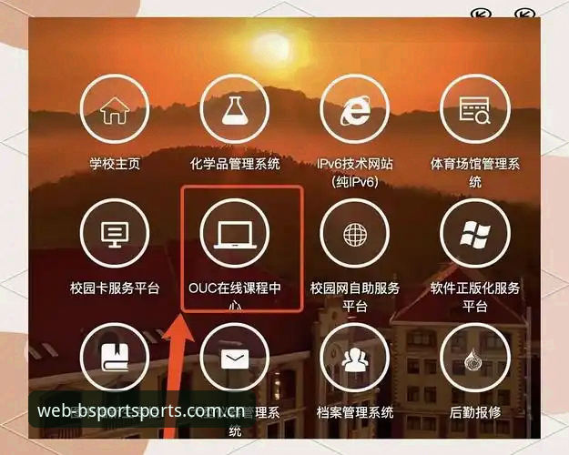 B体育在线平台详解：官方地址获取与安全充值指南